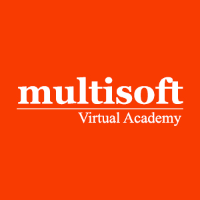 Multisoft Virtual Academy