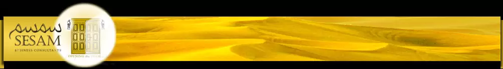 Sesam Business Consultants