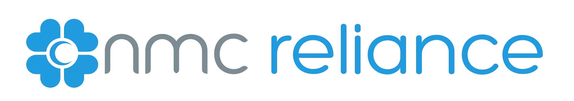 Reliance Information Technology