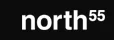 North55 FZ LLC