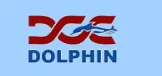 DOLPHIN CONSTRUCTION COMPANY WLL