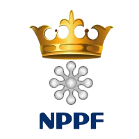 National Polystyrene Packaging Factory LCC