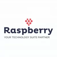 Raspberry IT Services